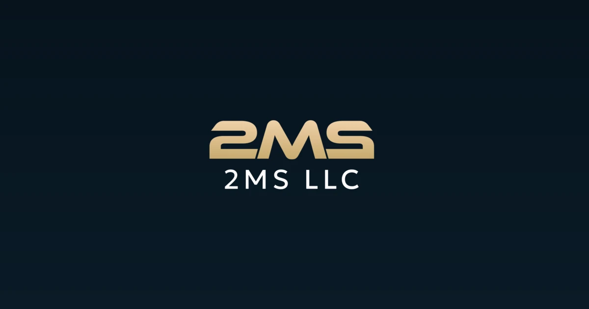 Campaña visual de 2 M S LLC con su identidad de marketing y consultoría
